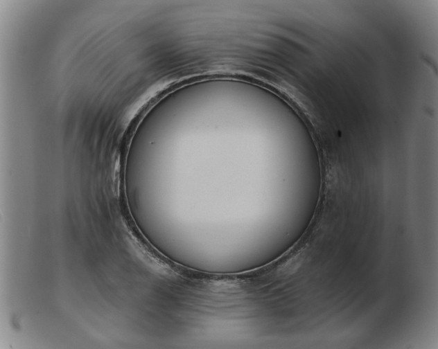 X0000103421126200809191631