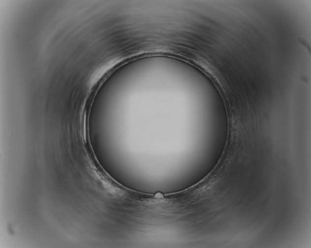 X0000103421127200809191631