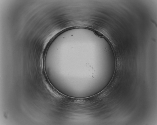 X0000103421128200809191631