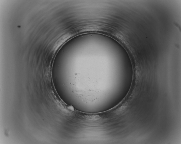 X0000103421129200809191631