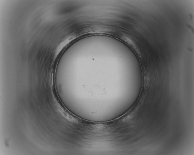 X0000103421130200809191631