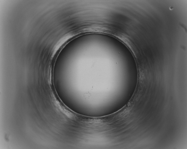 X0000103421131200809191631