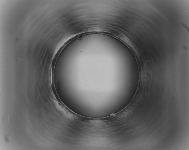 X0000103421132200809191631