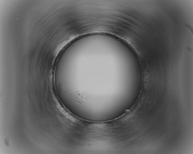 X0000103421134200809191631
