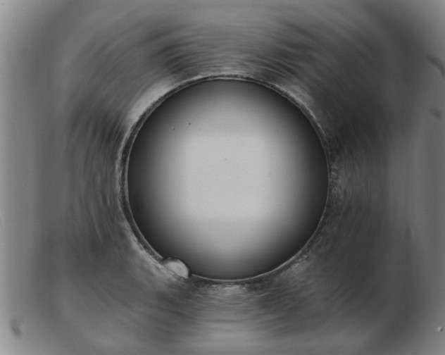 X0000103421135200809191631