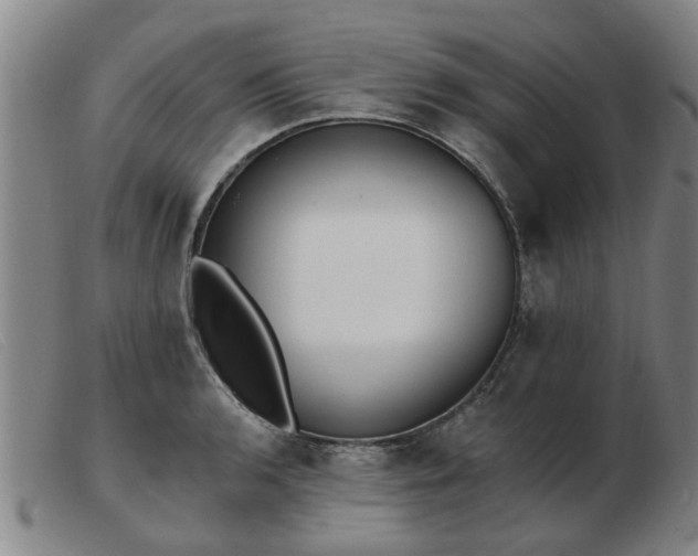 X0000103421136200809191631