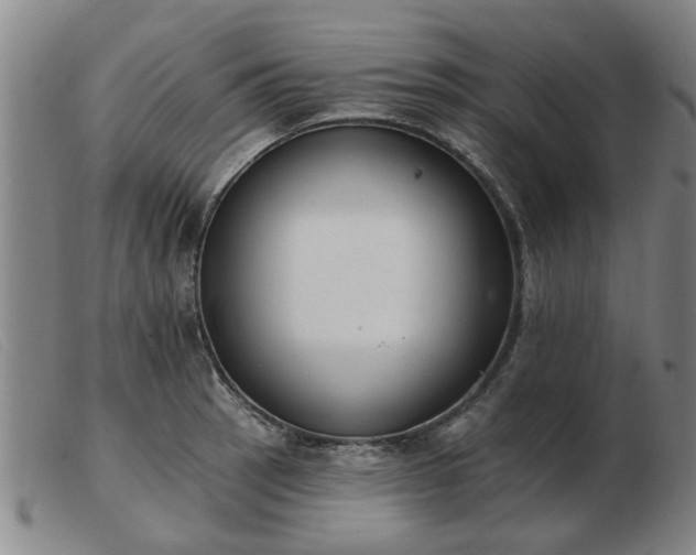 X0000103421137200809191631