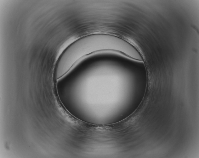 X0000103421138200809191631