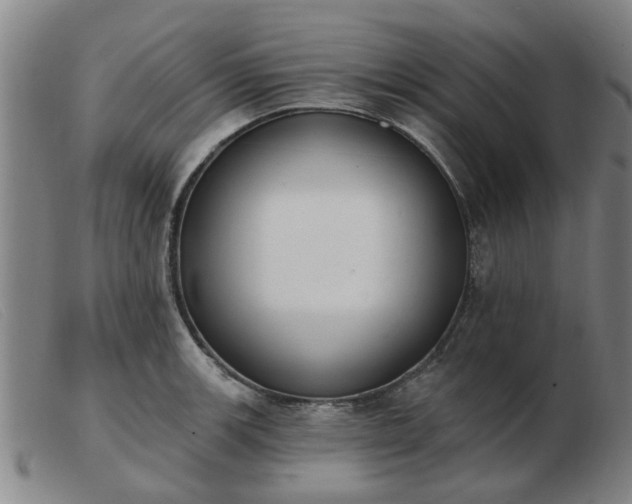 X0000103421139200809191631