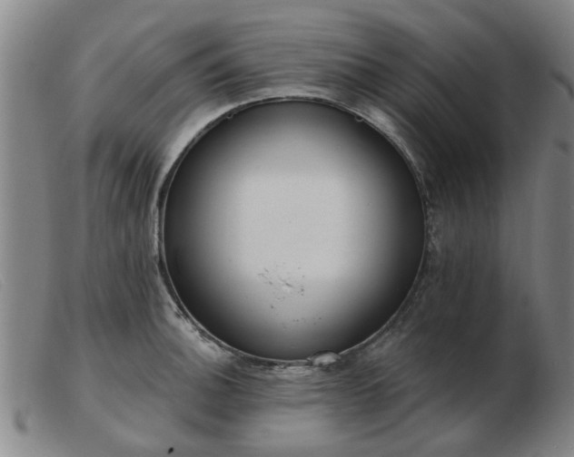 X0000103421140200809191631