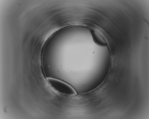 X0000103421141200809191631