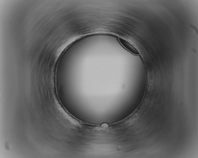 X0000103421142200809191631