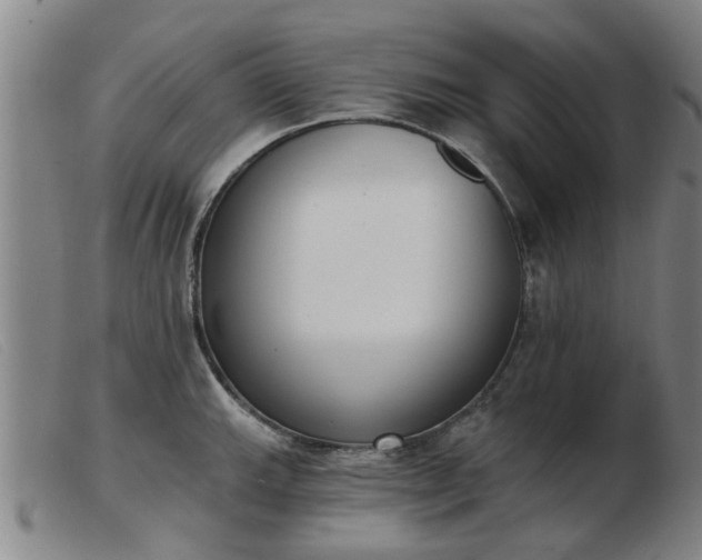 X0000103421143200809191631