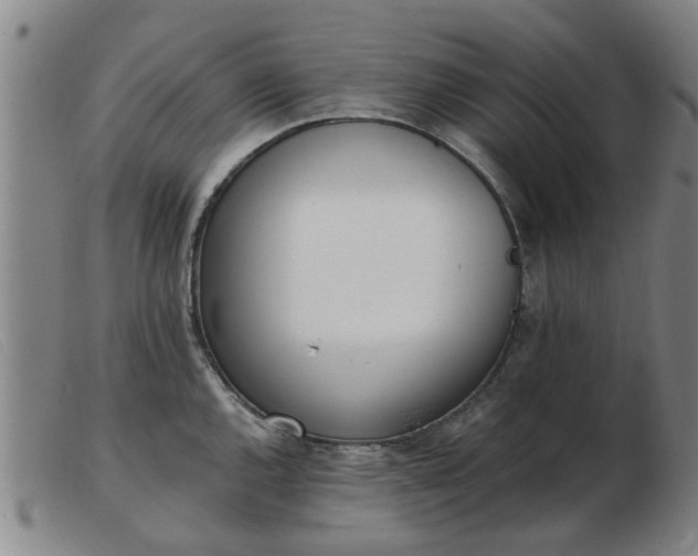 X0000103421144200809191631