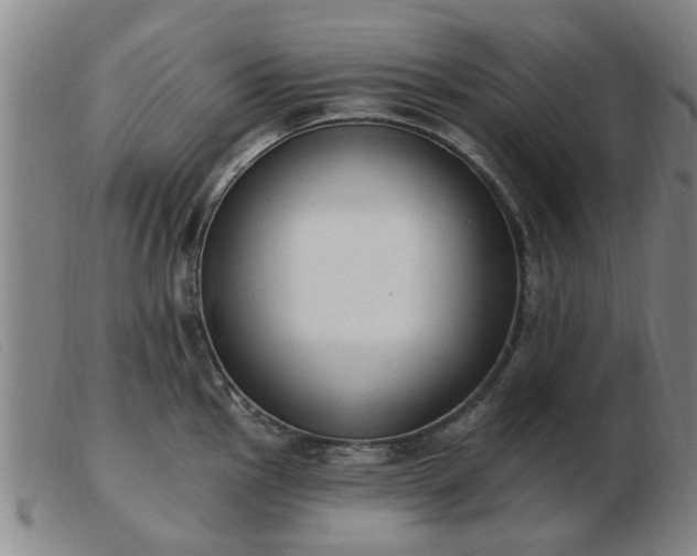 X0000103421145200809191631