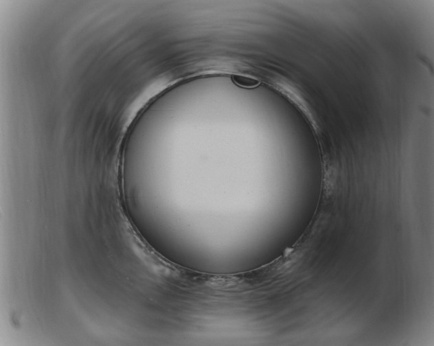 X0000103421146200809191631