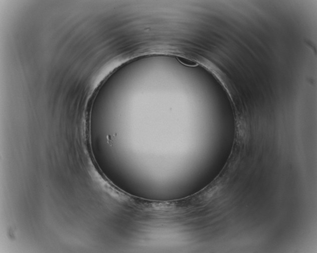 X0000103421147200809191631