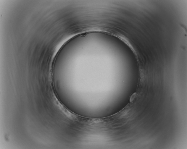 X0000103421148200809191631