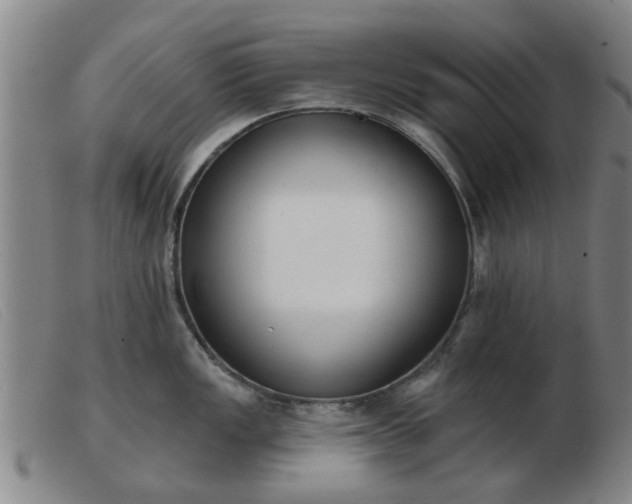 X0000103421149200809191631