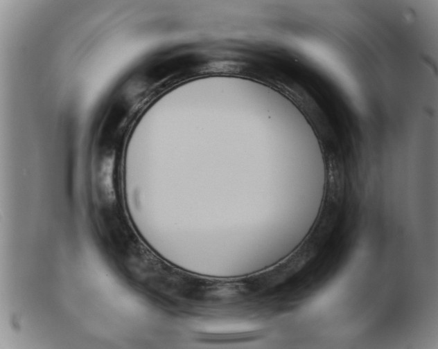 X0000103421150200809191631