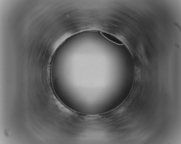 X0000103421151200809191631