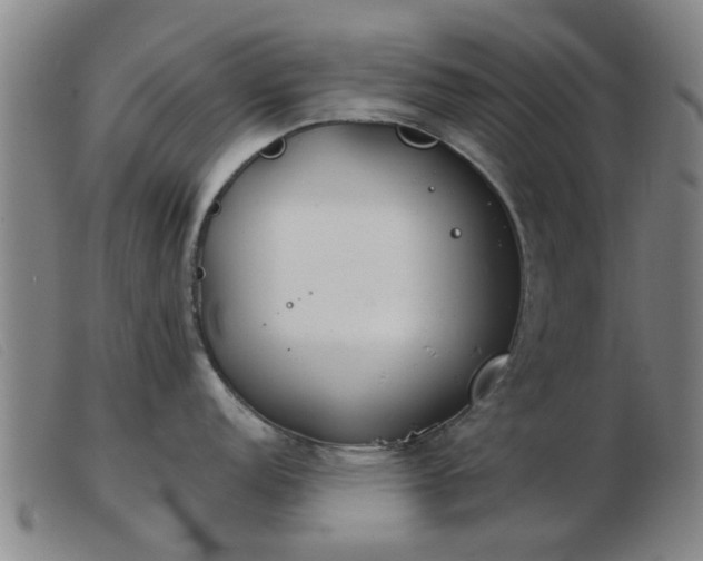 X0000103421152200809191631