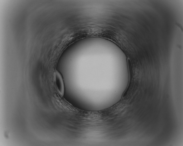 X0000103421153200809191631