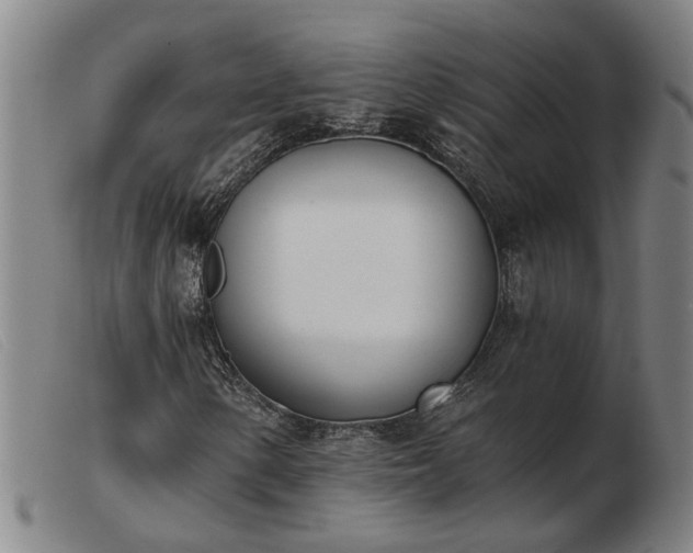 X0000103421154200809191631