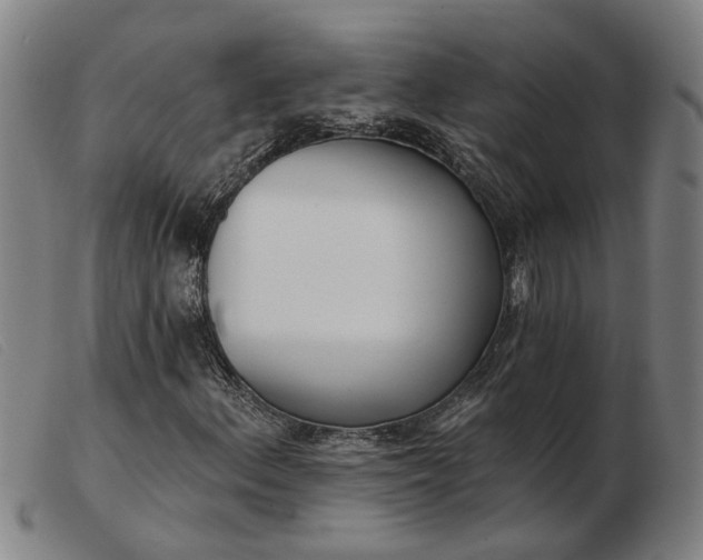 X0000103421156200809191631