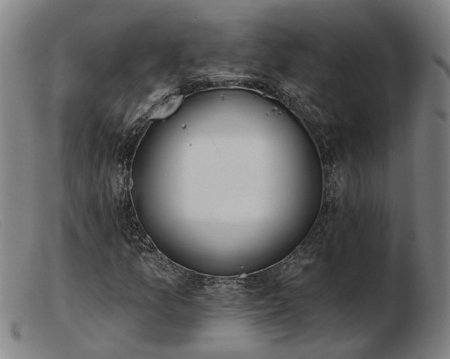 X0000103421157200809191631