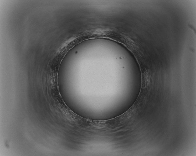 X0000103421158200809191631