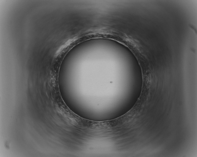 X0000103421159200809191631