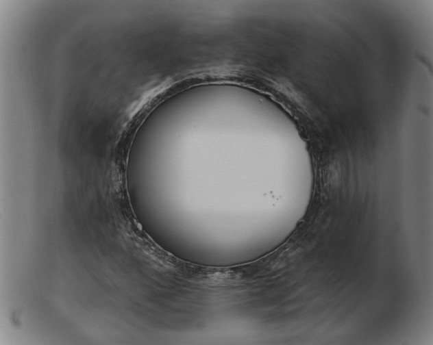 X0000103421160200809191630