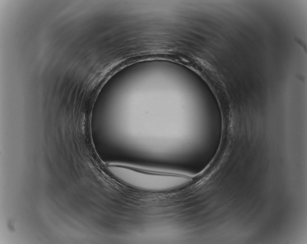X0000103421161200809191630