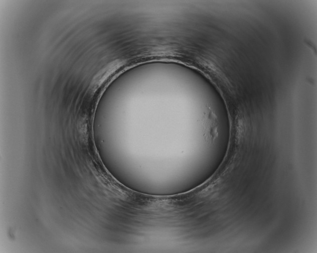 X0000103421162200809191630
