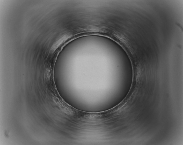 X0000103421163200809191630