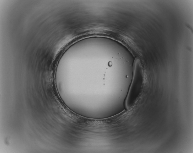 X0000103421164200809191630