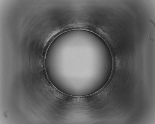 X0000103421166200809191630
