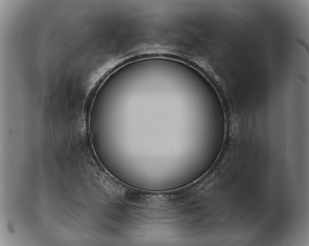 X0000103421167200809191630