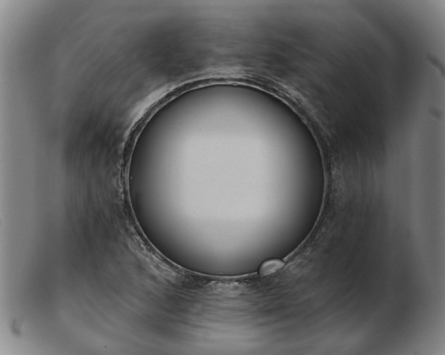 X0000103421168200809191630