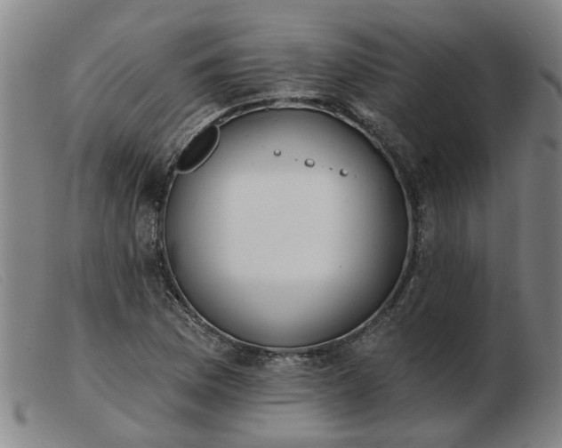 X0000103421169200809191630