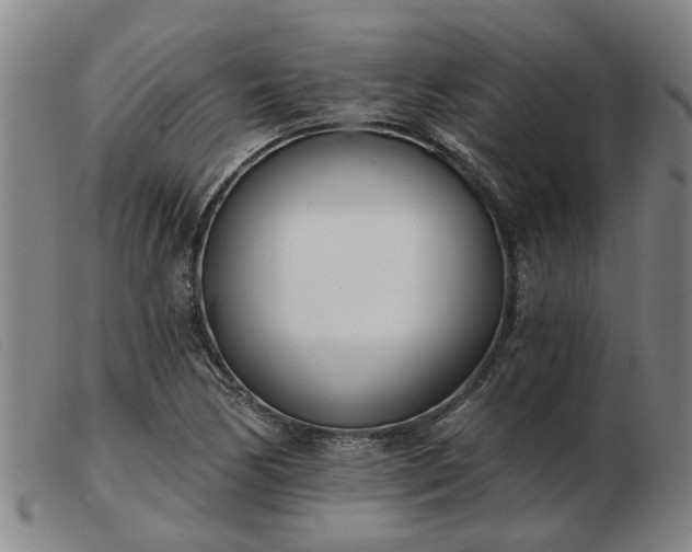 X0000103421170200809191630