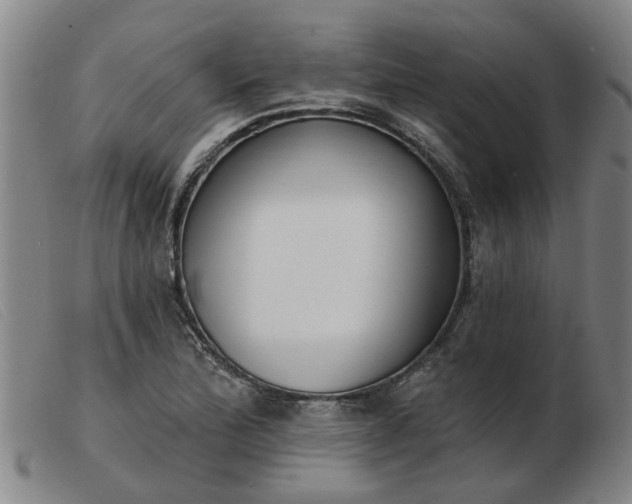 X0000103421172200809191630