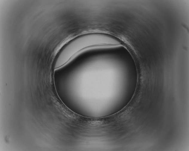 X0000103421173200809191630
