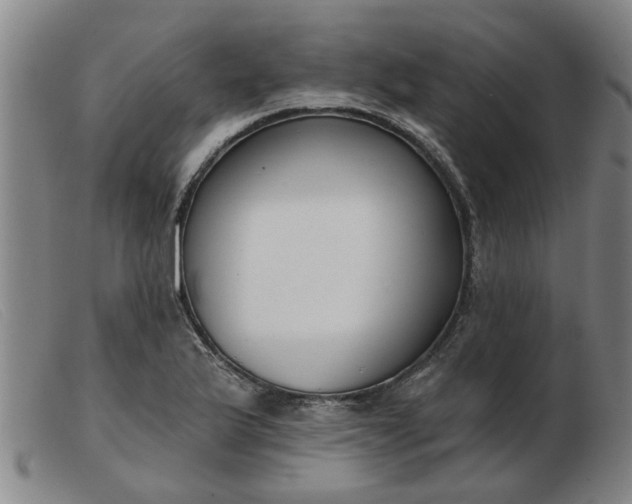 X0000103421175200809191630