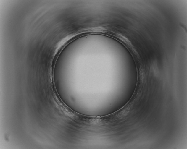 X0000103421176200809191630