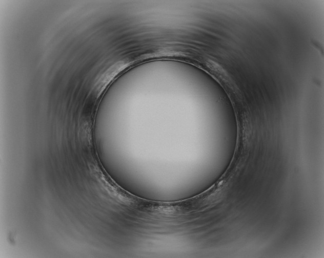 X0000103421177200809191630