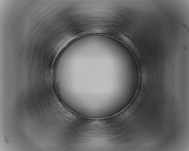X0000103421178200809191630