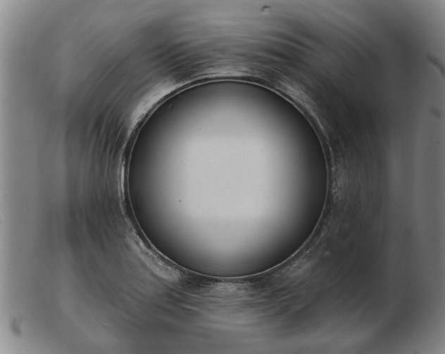 X0000103421179200809191630
