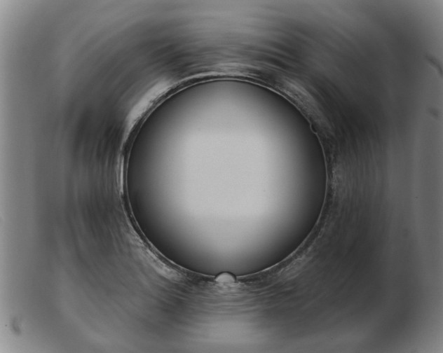 X0000103421180200809191630